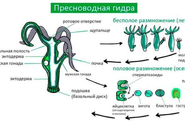 Кракен даркнет войти