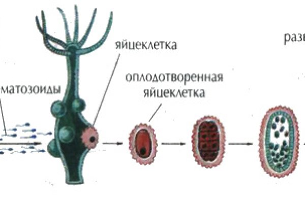 Кракен ссылка vtor