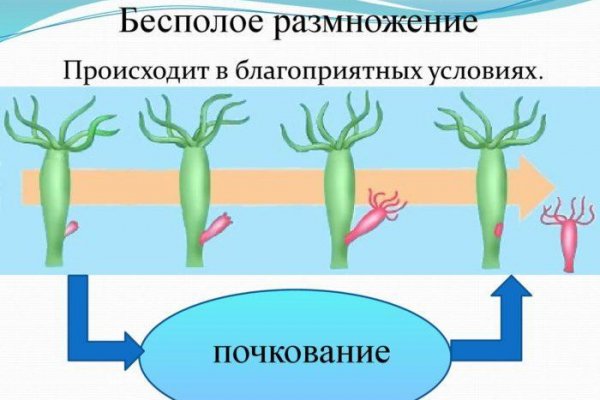 Взломанный аккаунт кракен