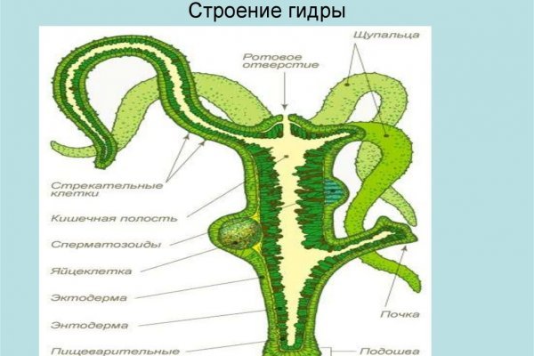 Кракен дарк сайт